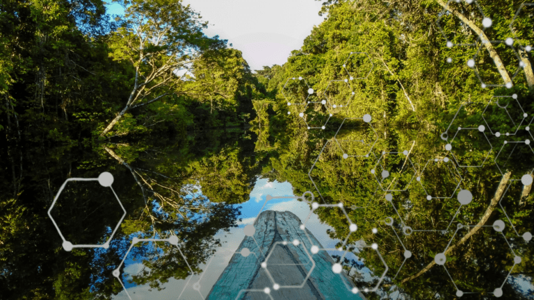 Vista de rio na floresta amazônica com elementos gráficos digitais, representando pesquisa científica no Sistema Amazônico de Laboratórios Satélites.