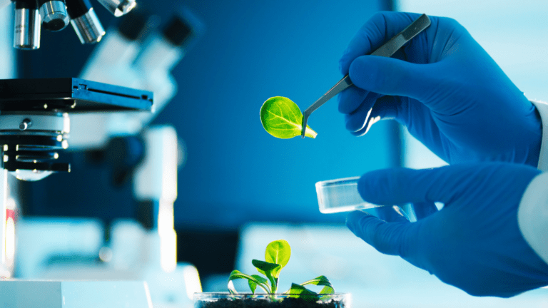 Mão com luva azul segurando folha com pinça em laboratório, representando pesquisas em saúde e biotecnologia apoiadas por MCTI, Finep e CNPq.