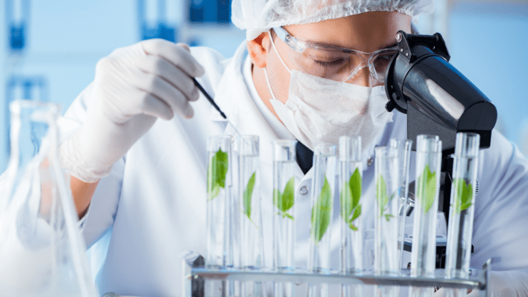 Cientista em laboratório analisando folhas em tubos de ensaio com microscópio, representando parceria Brasil-Argentina no fortalecimento da biotecnologia.