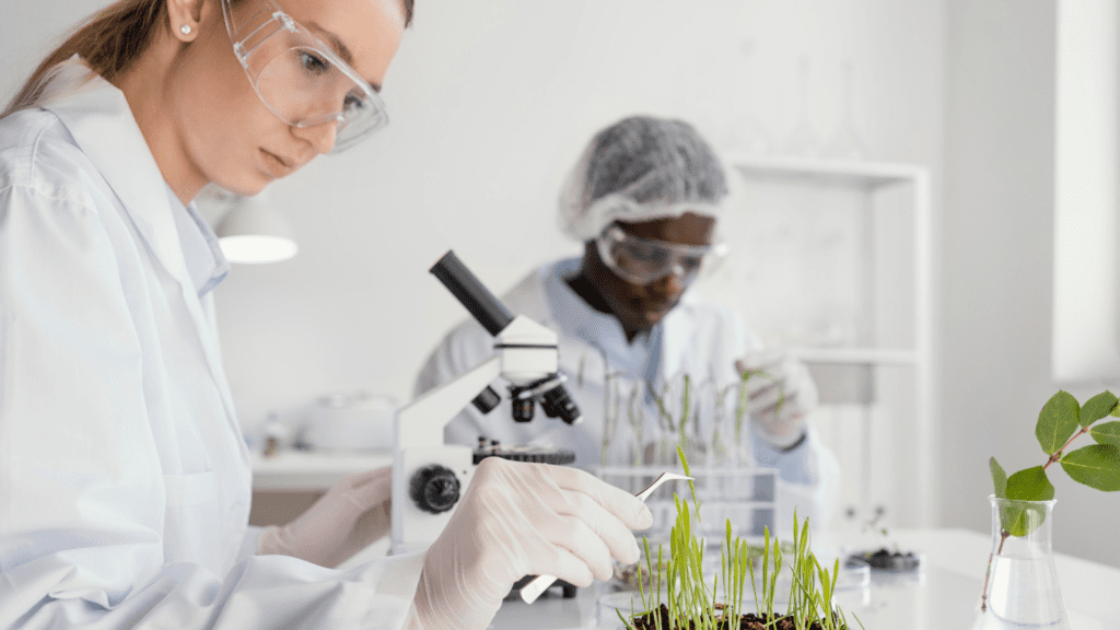 Pesquisadores em laboratório de biotecnologia vegetal analisando amostras ao microscópio, em referência à segunda chamada SPRINT da FAPESP.