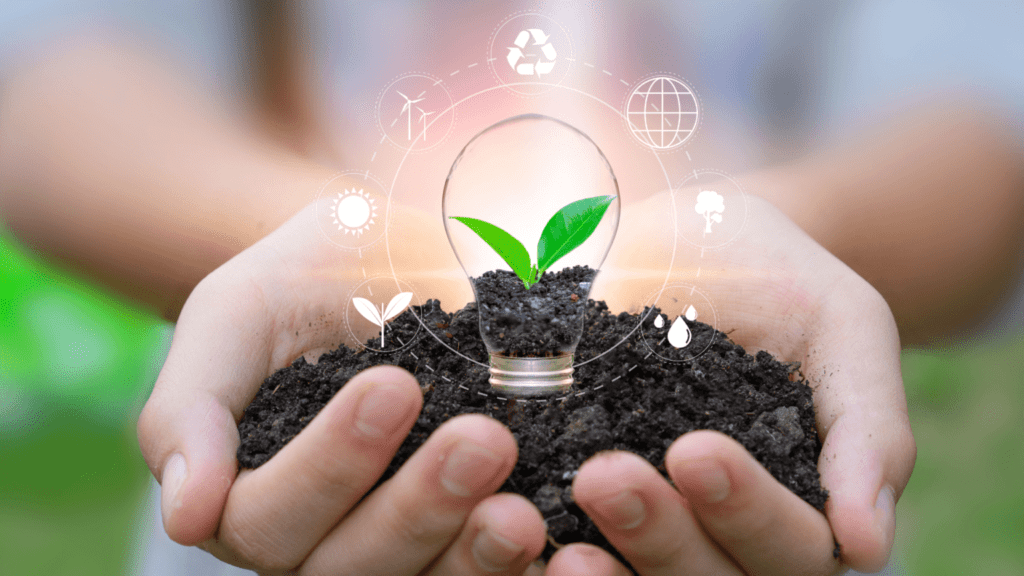 Mãos segurando terra com muda dentro de lâmpada e ícones de sustentabilidade, simbolizando cooperação entre MCTI e PNUMA em projetos ambientais e de inovação.