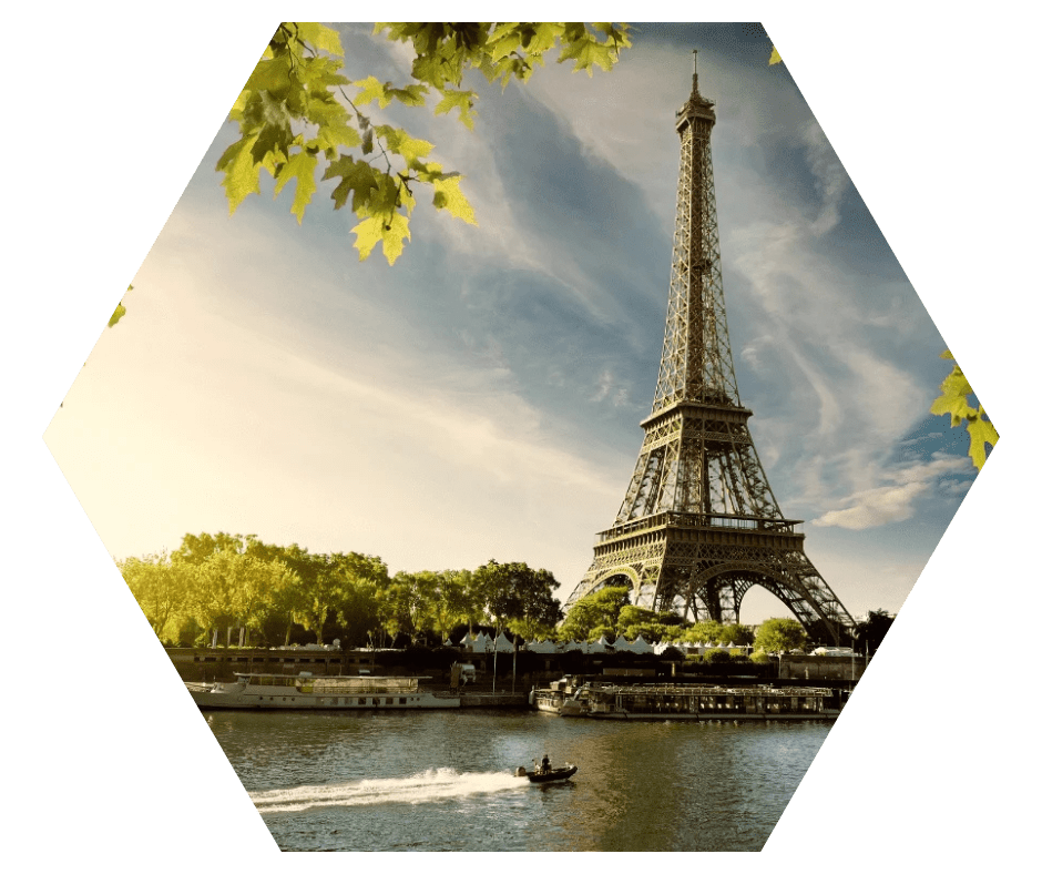 Torre Eiffel em Paris com céu claro e folhas verdes em primeiro plano, ao entardecer